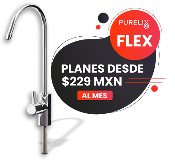 FLEX (2)